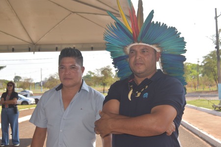 Left or right gringo dib 01