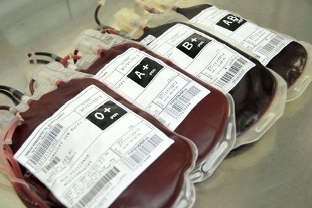 Left or right banco de sangue do canad cogita instituir pagamento para doadores 